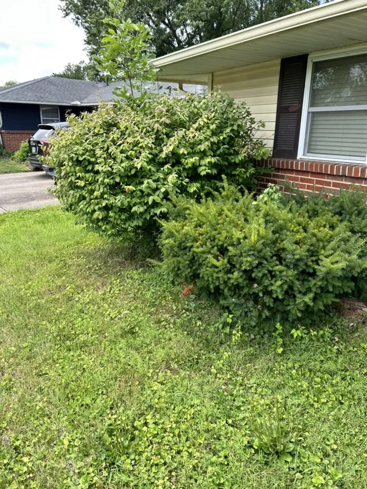 Professional lawn mowing service in Washington Court House, OH by Green Lawns By Jesse