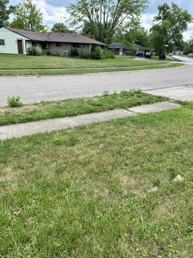 Trusted lawn care service for beautiful yards across Washington Court House, OH - Green Lawns By Jesse