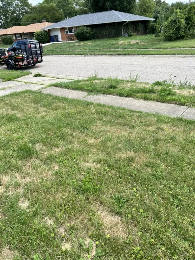 Top-rated yard cleanup service experts serving Washington Court House, OH - Green Lawns By Jesse