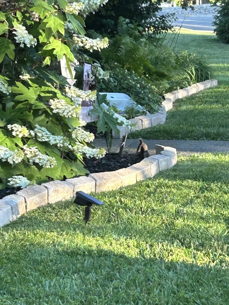 Affordable lawn care service for beautiful yards in Washington Court House, OH by Green Lawns By Jesse