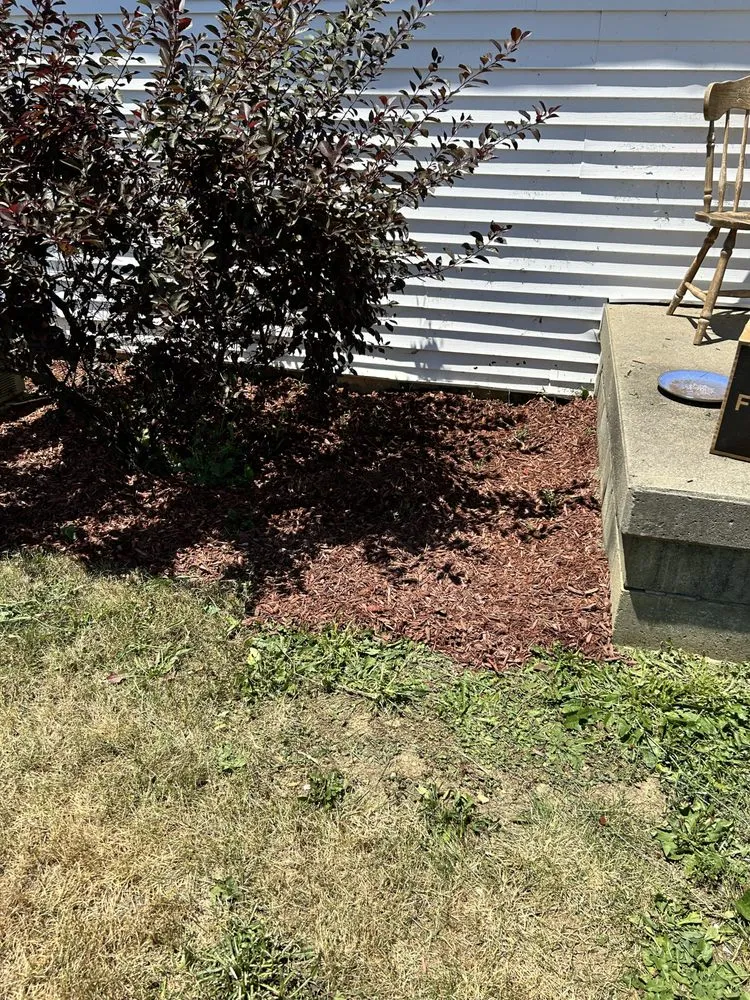 Top-rated lawn care service in Washington Court House, OH - Green Lawns By Jesse