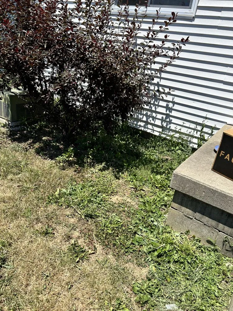 Expert lawn mowing service for outdoor upgrades in Washington Court House, OH by Green Lawns By Jesse