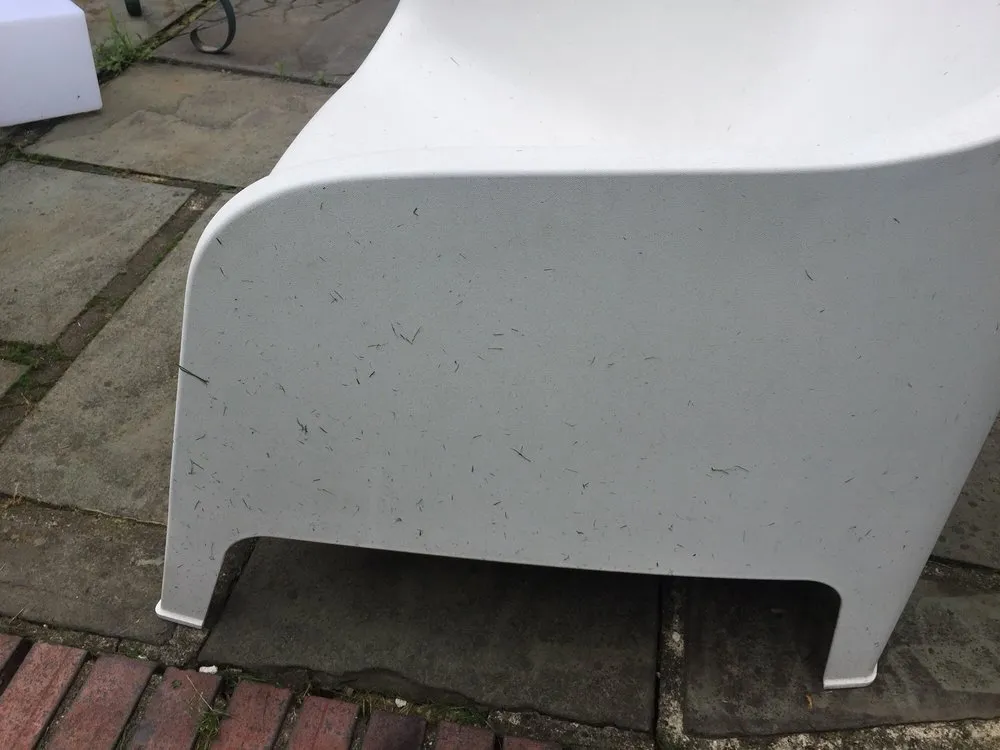 Trusted yard cleanup service in Dover, DE - Green Lawns