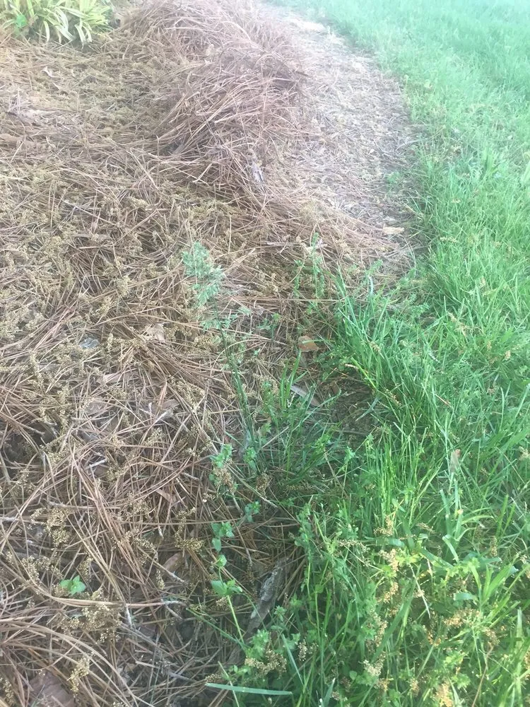 Affordable outdoor landscaping for homes in Dover, DE by Green Lawns