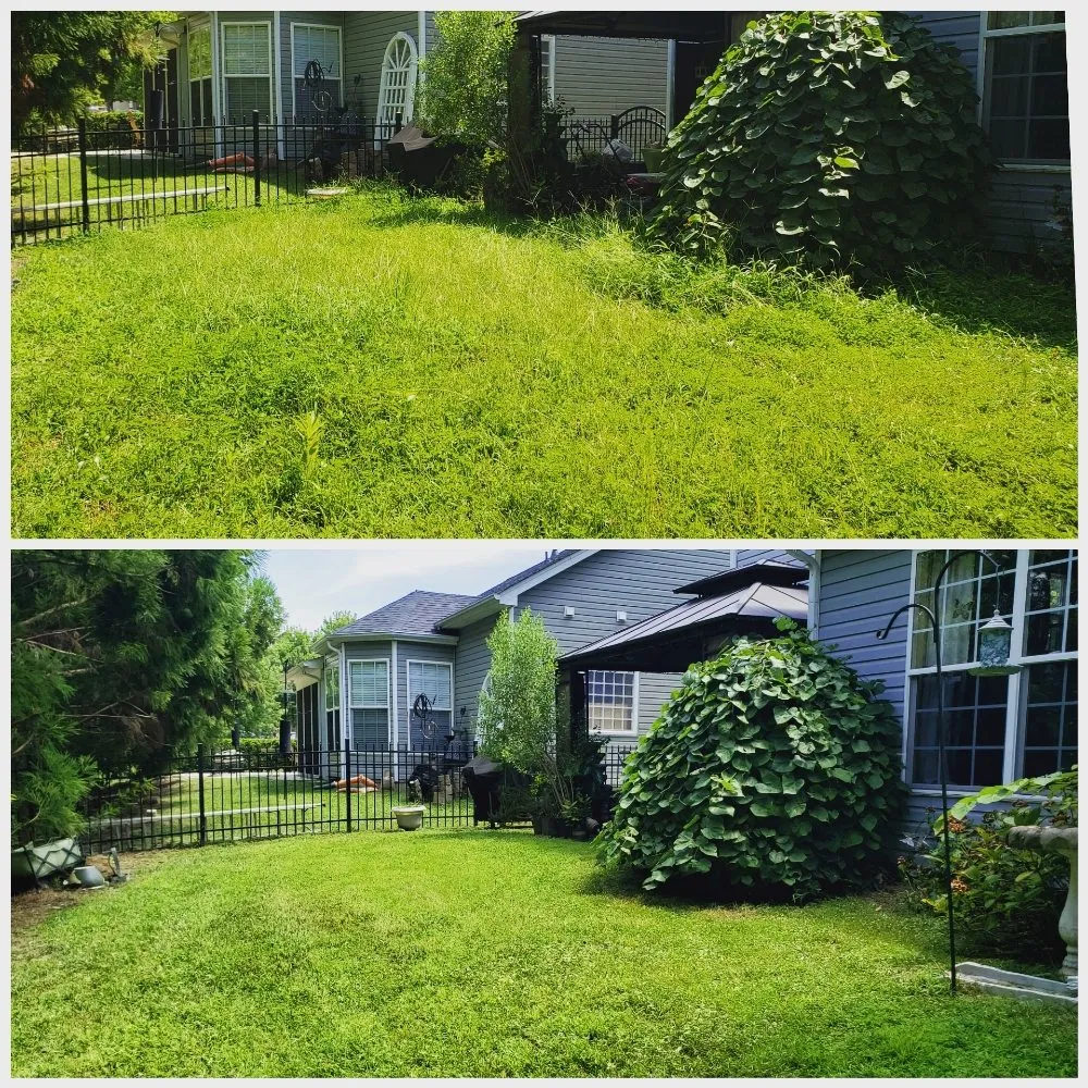 Custom yard maintenance in Lake Park, NC by Green Lawns Landscaping
