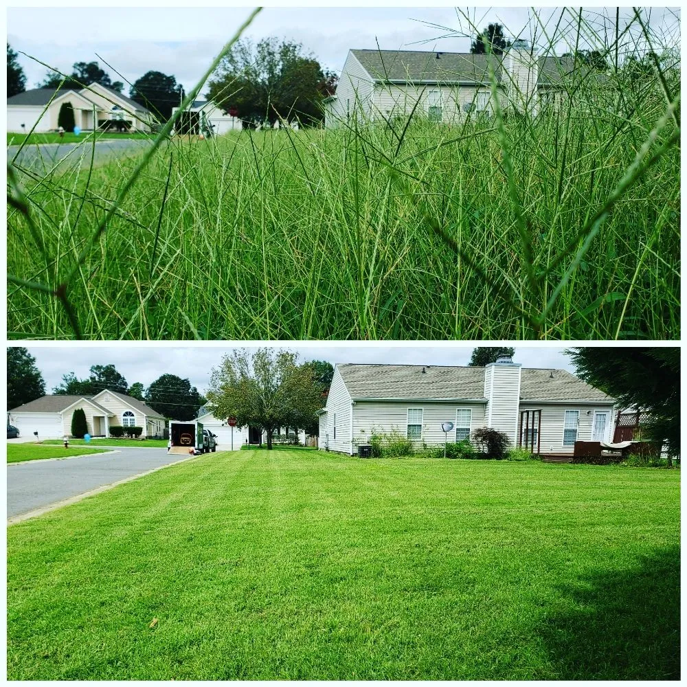 Local landscaping services in Lake Park, NC - Green Lawns Landscaping