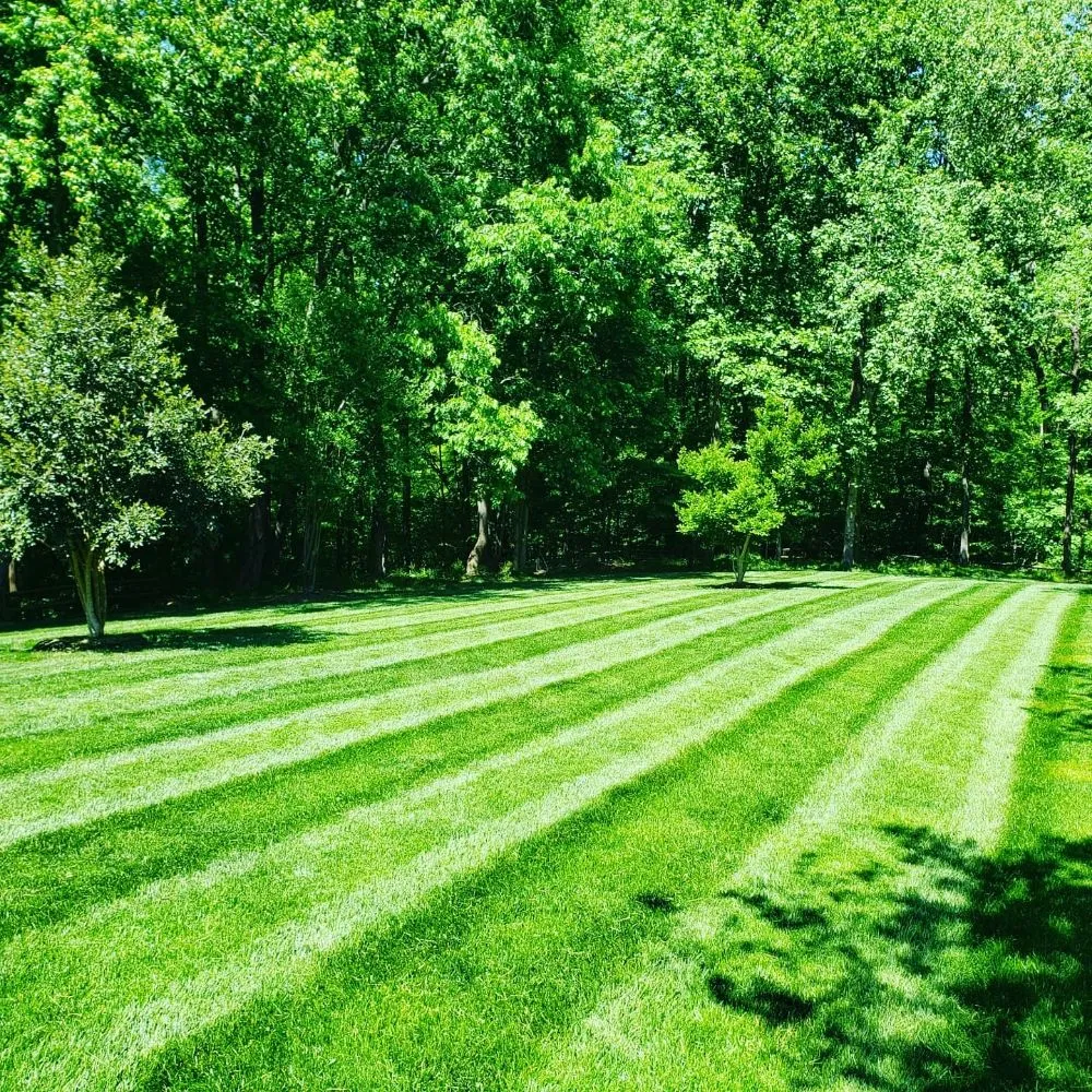 Custom outdoor landscaping experts serving Lake Park, NC - Green Lawns Landscaping