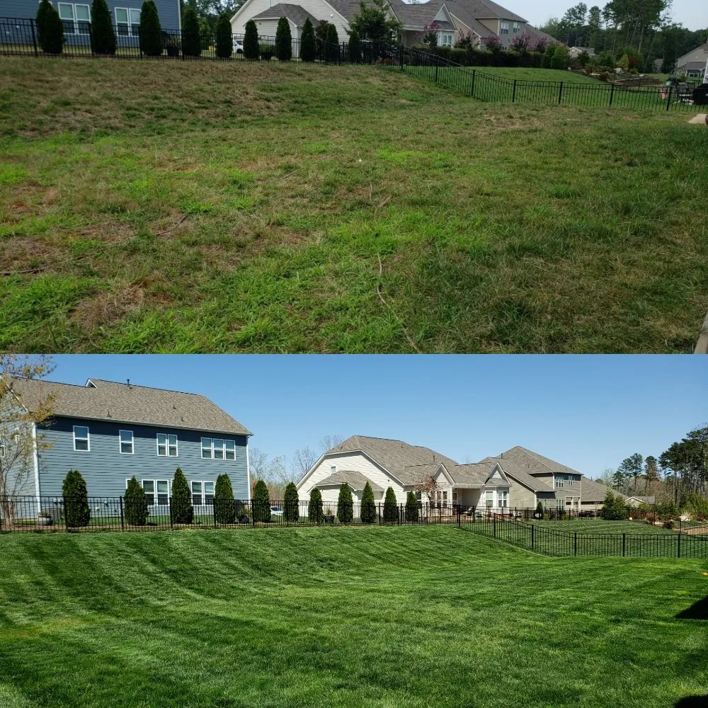 Trusted lawn care service for beautiful yards across Lake Park, NC - Green Lawns Landscaping