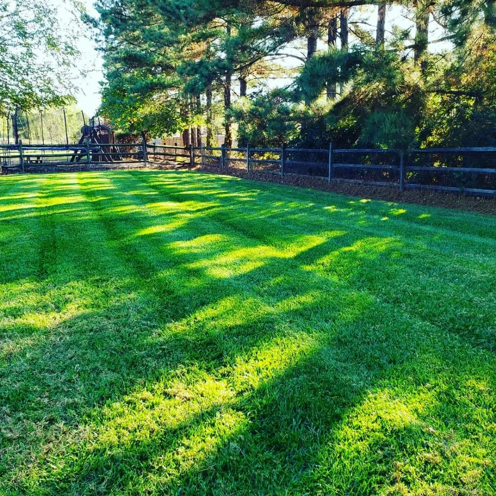 Affordable landscape installation experts serving Lake Park, NC - Green Lawns Landscaping