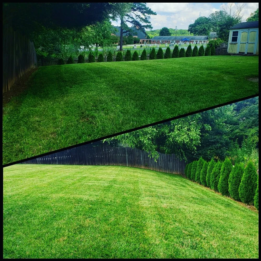 Reliable landscape design for year-round maintenance in Lake Park, NC by Green Lawns Landscaping