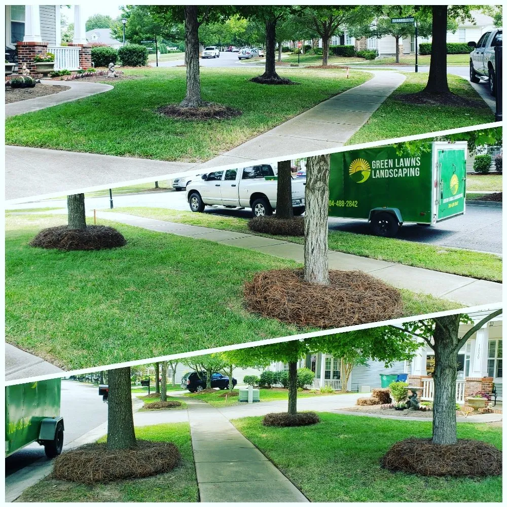 Affordable outdoor landscaping in Lake Park, NC - Green Lawns Landscaping
