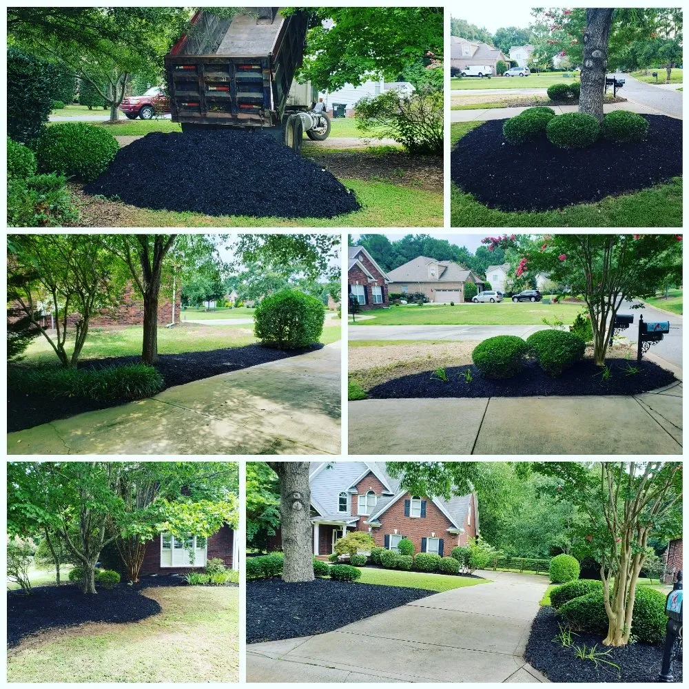 Local lawn care service for homes in Lake Park, NC by Green Lawns Landscaping