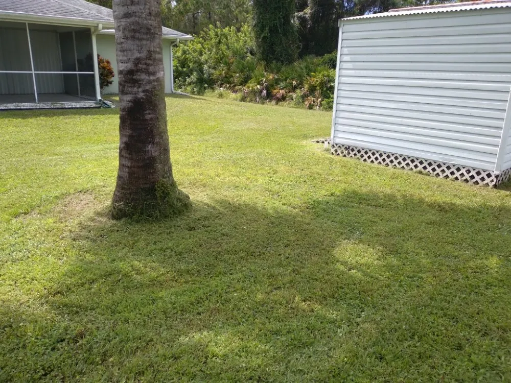 Local yard maintenance with custom design across Port Charlotte, FL - Green Lawns