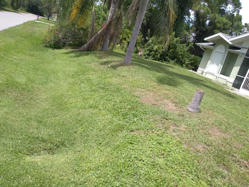 Reliable landscape design for beautiful yards in Port Charlotte, FL by Green Lawns