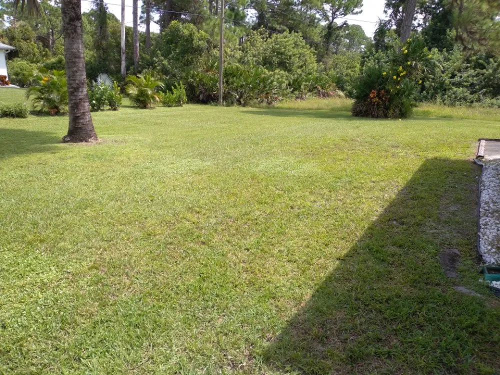 Local lawn mowing service for year-round maintenance in Port Charlotte, FL by Green Lawns
