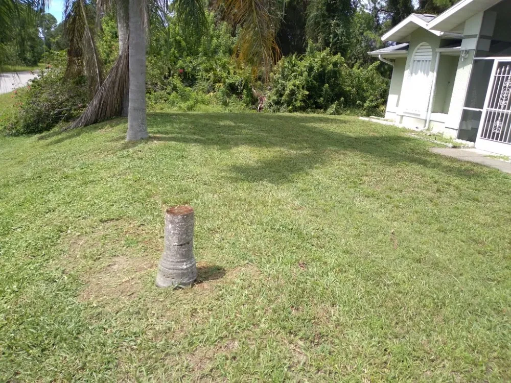 Local residential landscaping for outdoor upgrades across Port Charlotte, FL - Green Lawns