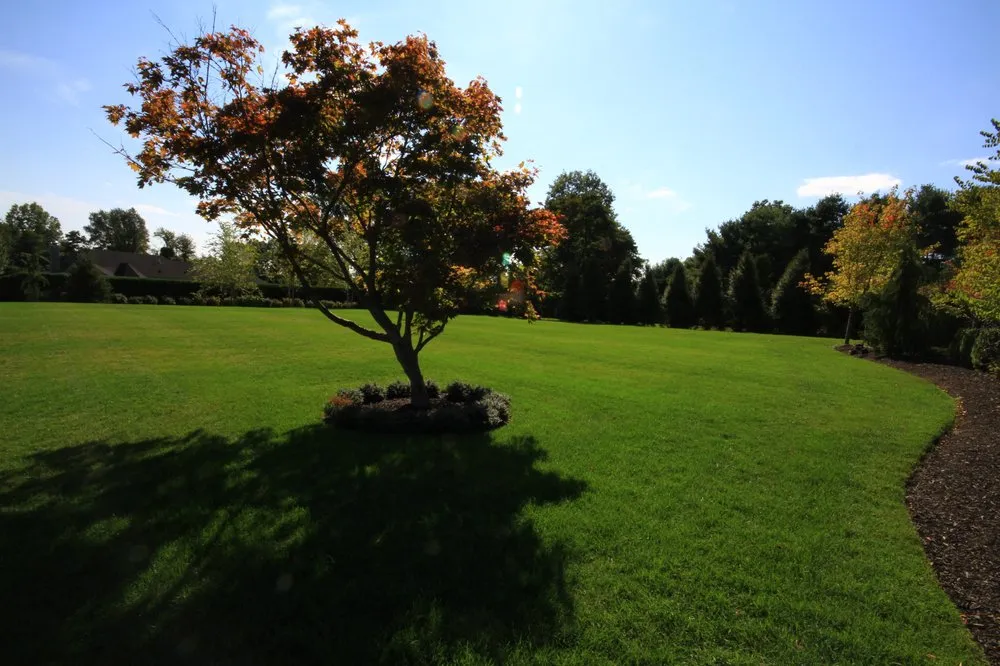 Trusted landscape installation for beautiful yards in Spring Valley, NY by Green Lawns
