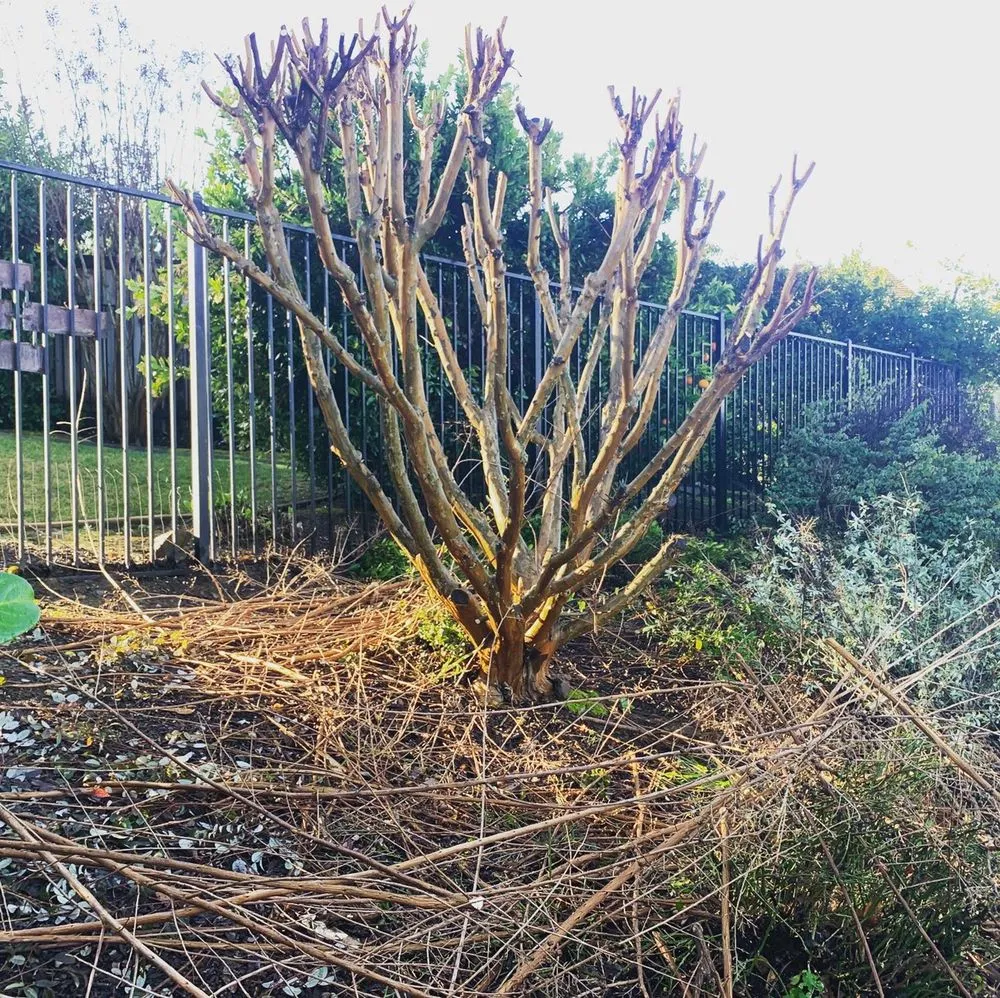 Expert outdoor landscaping for outdoor upgrades in Sacramento, CA by Green Leaf Landscape & Lawncare