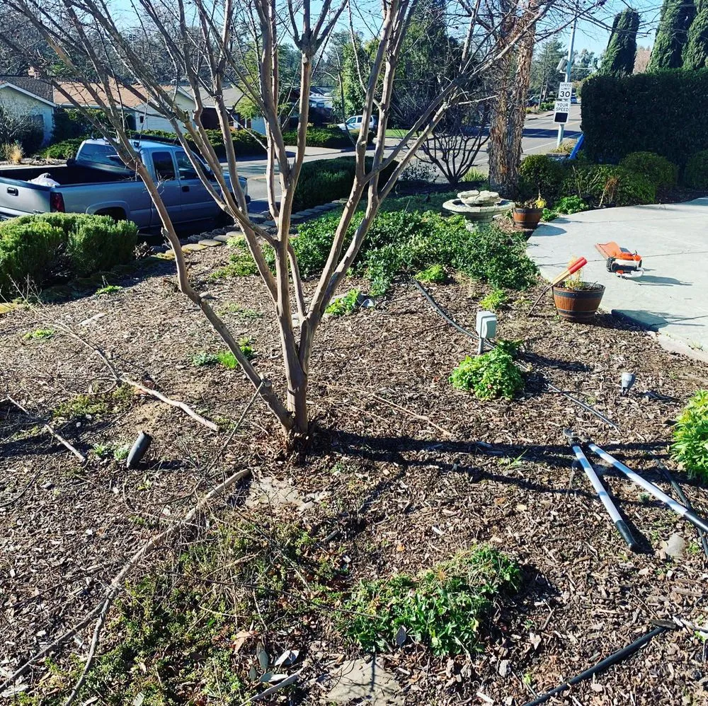 Top-rated garden landscaping for homes in Sacramento, CA by Green Leaf Landscape & Lawncare