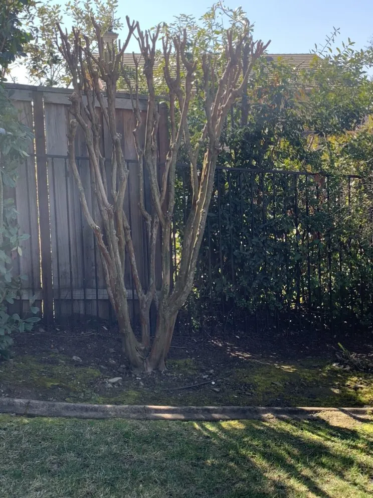 Professional residential landscaping experts serving Sacramento, CA - Green Leaf Landscape & Lawncare