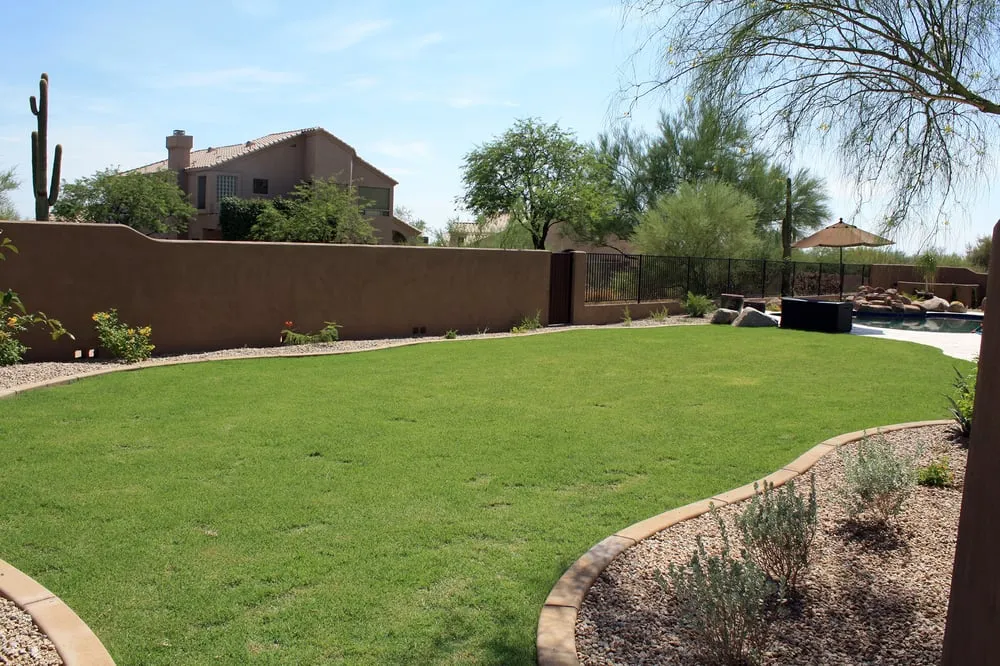 Local yard cleanup service in Phoenix, AZ by Green Leaf Landscape