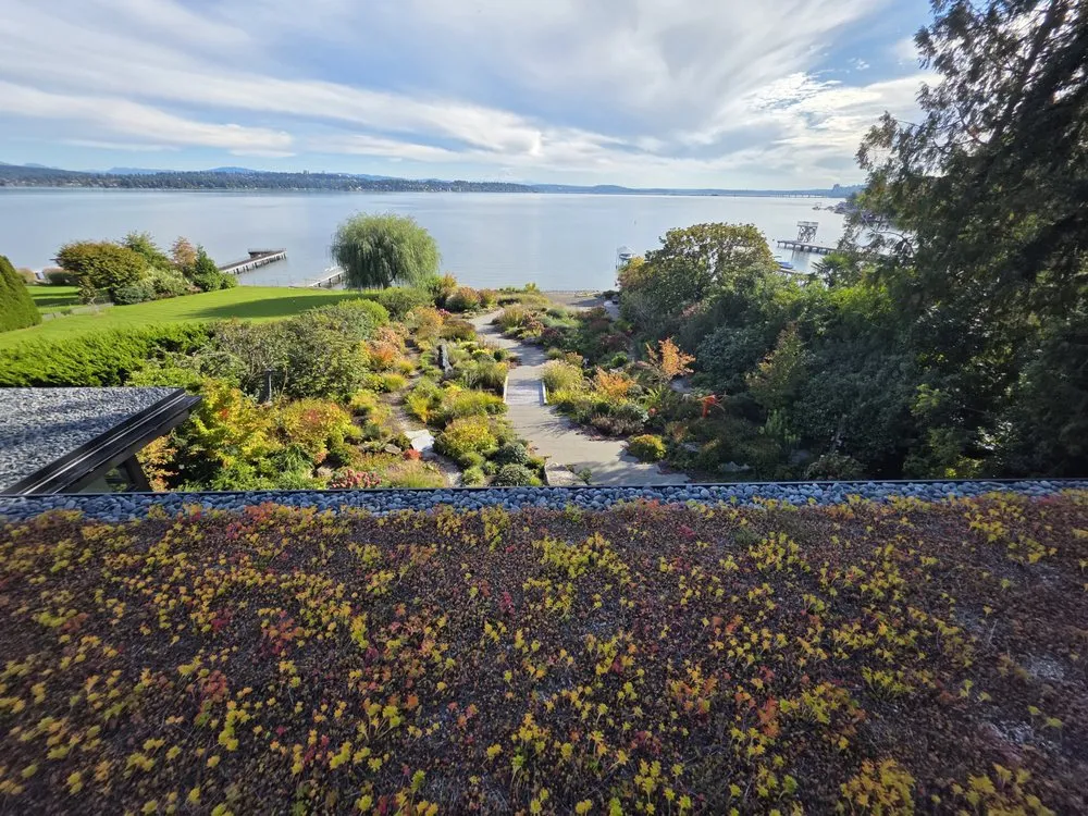 Custom yard maintenance for outdoor upgrades across Shoreline, WA - Green Leaf Landscaping & Construction