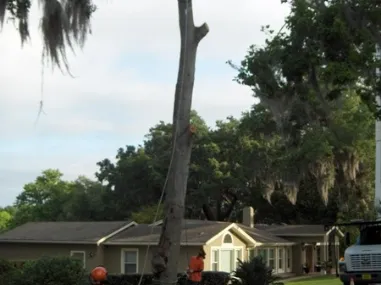 Local landscape design in Melbourne, FL by Green Leaf Landscaping & Irrigation