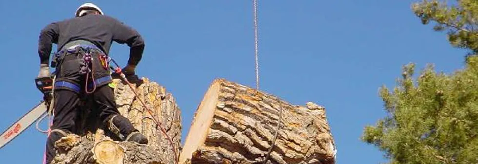 Custom garden landscaping with custom design in Melbourne, FL by Green Leaf Landscaping & Irrigation