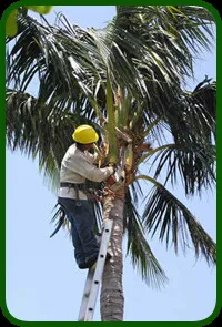 Trusted yard maintenance for beautiful yards across Melbourne, FL - Green Leaf Landscaping & Irrigation