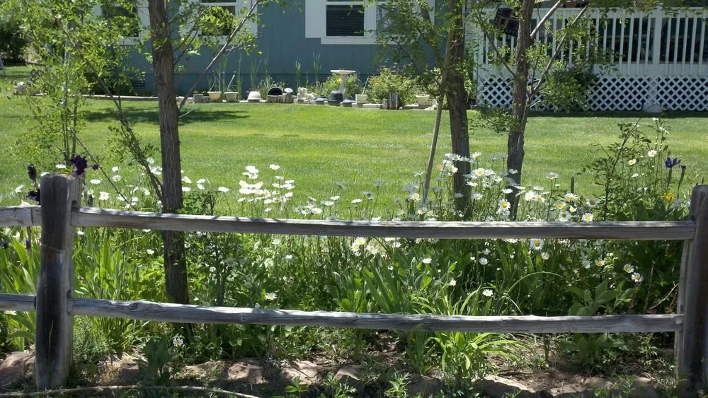 Reliable landscaping services experts serving Show Low, AZ - Green Leaf Landscaping & Maintenance