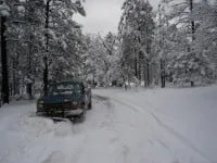 Trusted landscape design experts serving Show Low, AZ - Green Leaf Landscaping & Maintenance