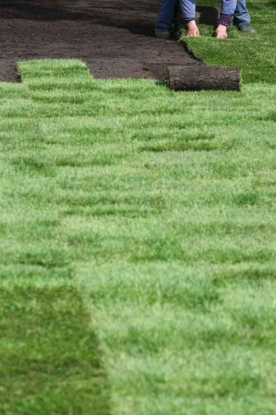 Professional garden landscaping experts serving Show Low, AZ - Green Leaf Landscaping & Maintenance