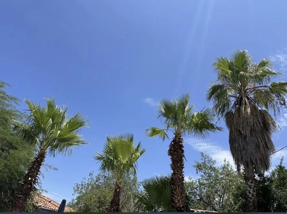 Trusted garden landscaping in Tucson, AZ by Green Leaf Landscaping and Tree Service