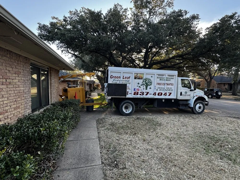 Local landscape design in Dallas, TX - Green Leaf Landscaping