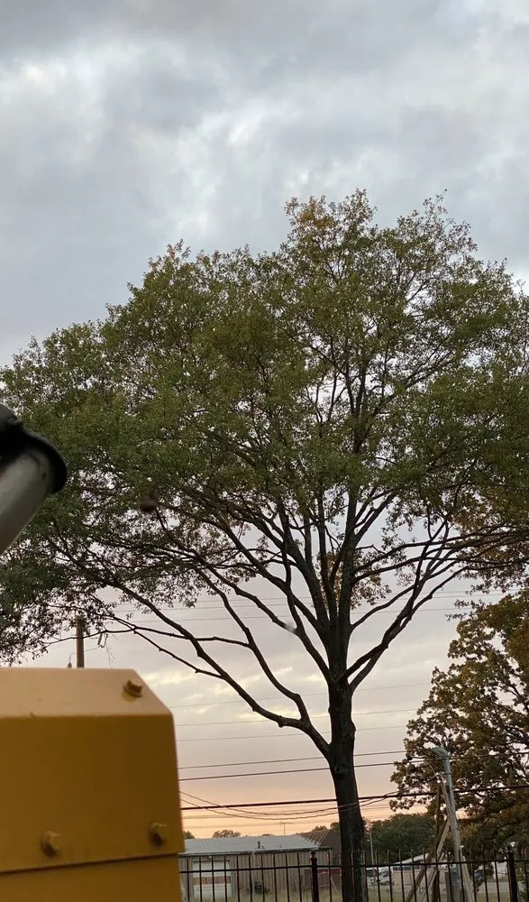 Custom landscape installation for residential properties in Dallas, TX by Green Leaf Landscaping