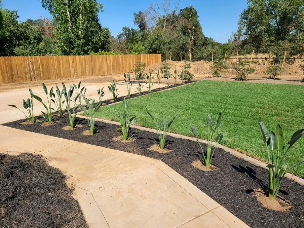 Professional garden landscaping in Elk Grove, CA by Green Leaf Landscaping