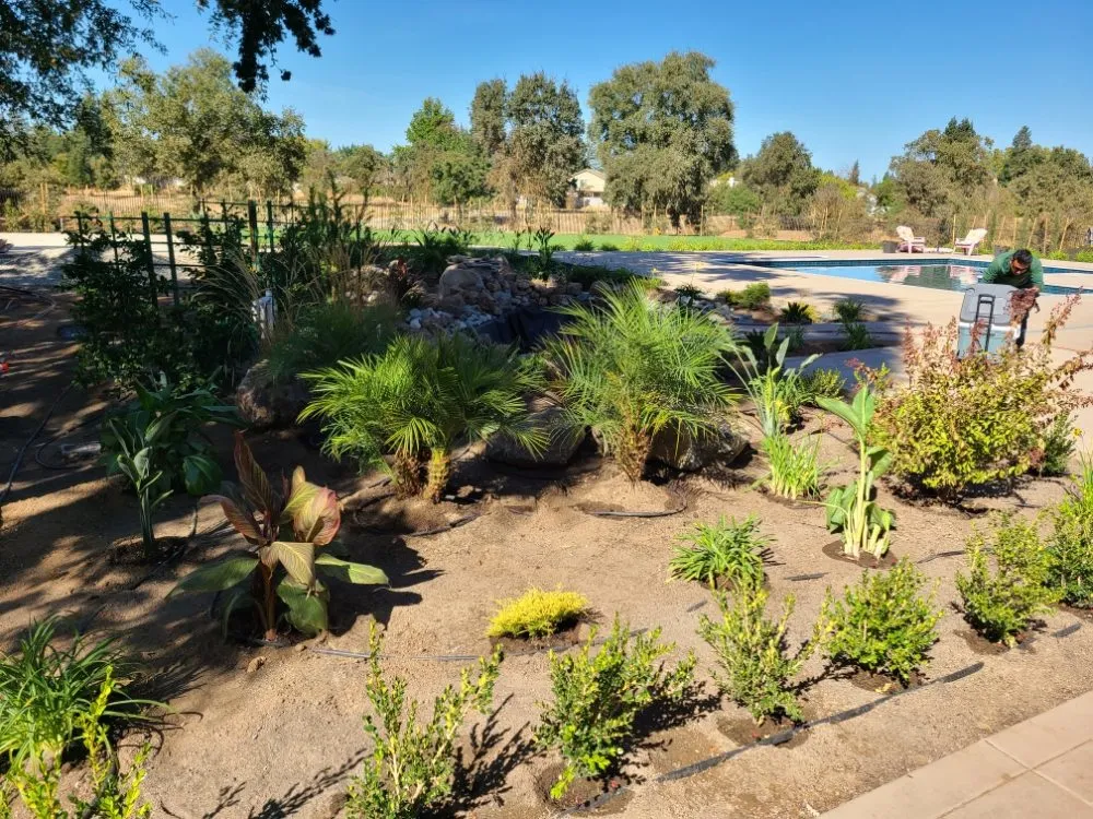 Professional landscape design experts serving Elk Grove, CA - Green Leaf Landscaping