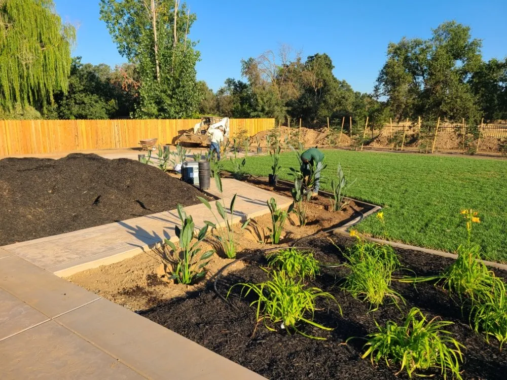 Professional landscaping services in Elk Grove, CA by Green Leaf Landscaping