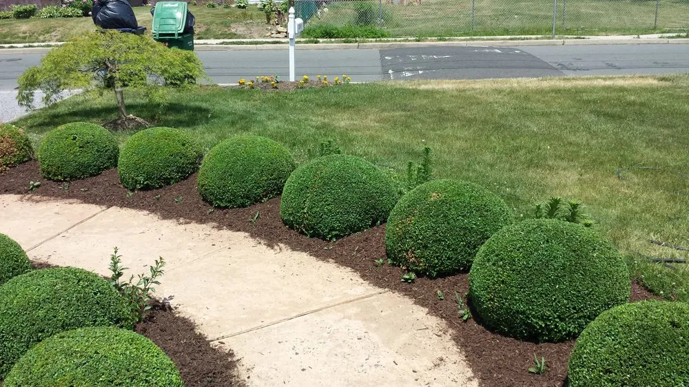 Local lawn mowing service for outdoor upgrades across Lawrence Township, NJ - Green Leaf Landscaping Service & Snowplowing