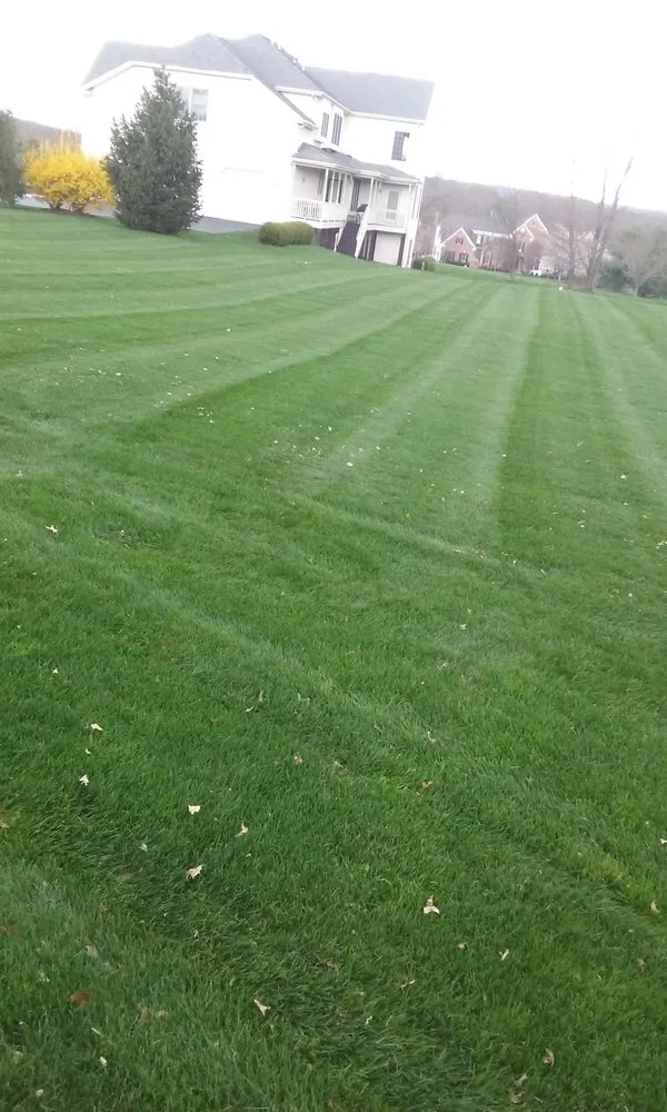 Professional yard cleanup service for homes in Lawrence Township, NJ by Green Leaf Landscaping Service & Snowplowing