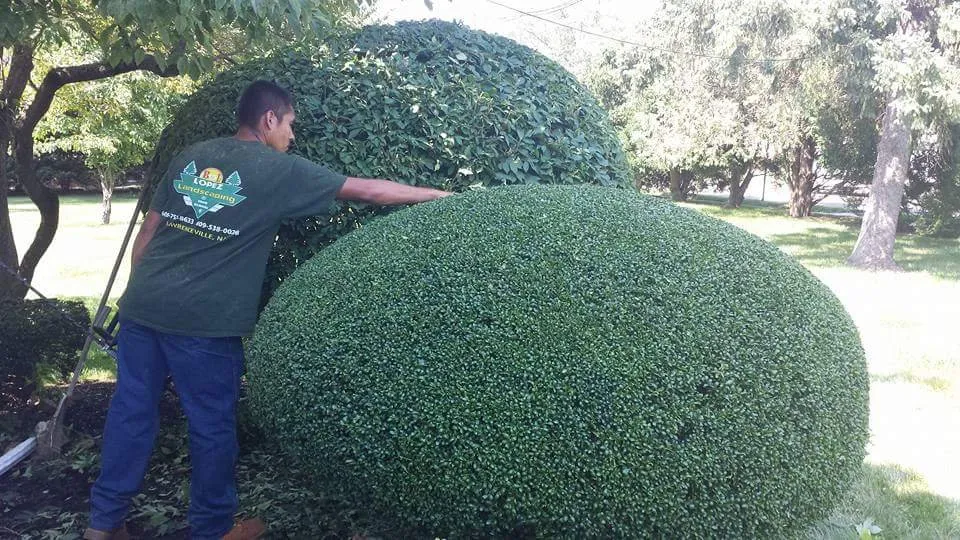 Top-rated outdoor landscaping near you in Lawrence Township, NJ by Green Leaf Landscaping Service & Snowplowing