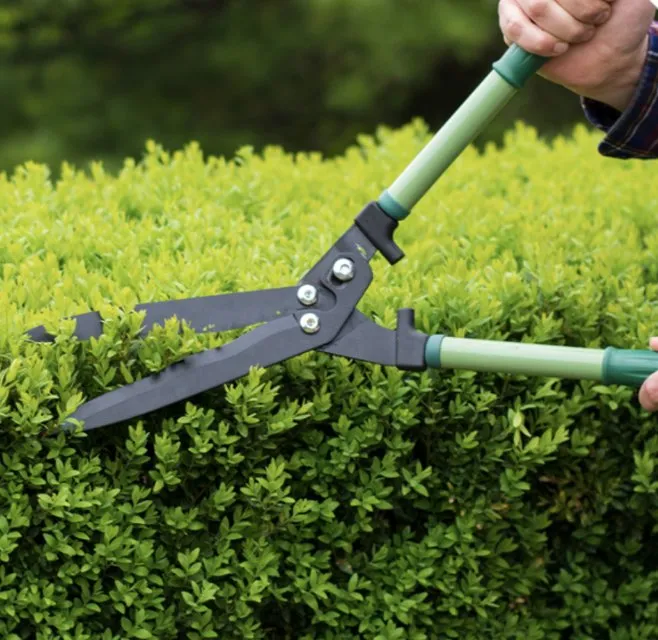 Affordable outdoor landscaping experts serving Ocala, FL - Green leaf lawn care