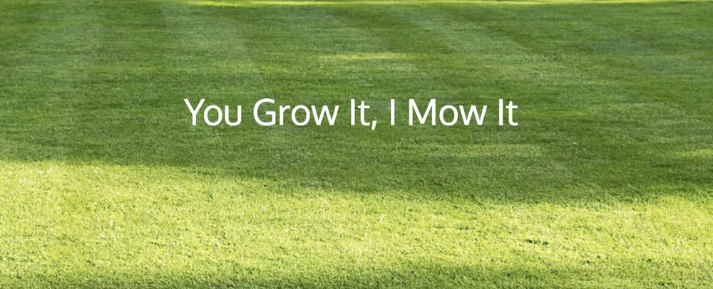 Expert landscaping services near you across Ocala, FL - Green leaf lawn care