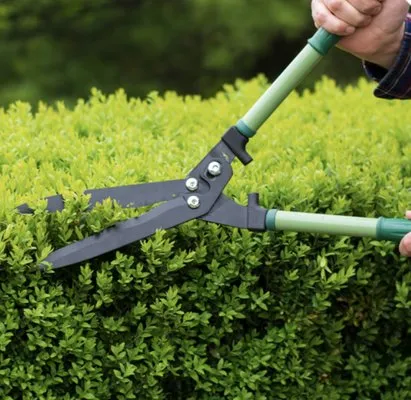 Green leaf lawn care Logo