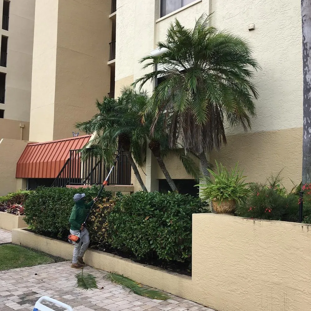 Expert residential landscaping in Fort Myers, FL - Green Leaf Lawn Services