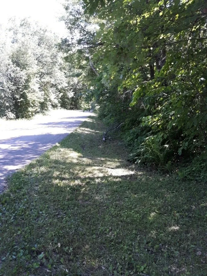 Custom yard maintenance in Pine River, MN - Green Leaf Lawncare