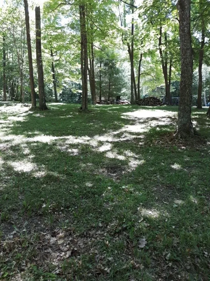 Expert yard cleanup service experts serving Pine River, MN - Green Leaf Lawncare