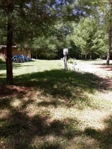 Professional yard cleanup service in Pine River, MN - Green Leaf Lawncare