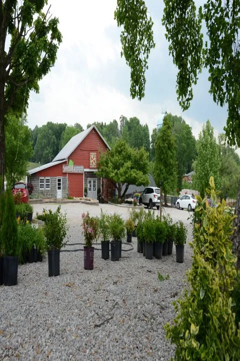 Expert yard maintenance experts serving Glasgow, KY - Green Leaf Nursery