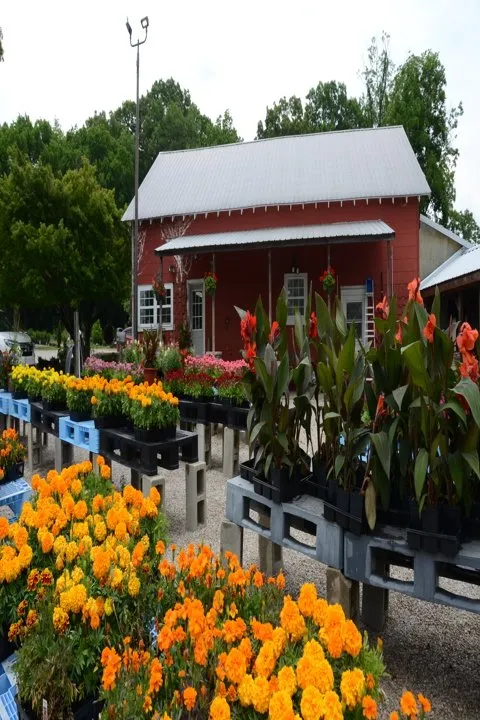 Top-rated landscape installation experts serving Glasgow, KY - Green Leaf Nursery